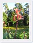 pLANTA 1 
